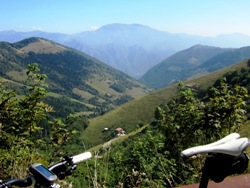 foto bruntino